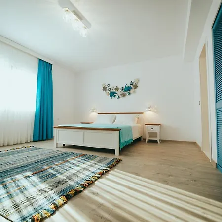 Pensiunea Briza Marii בית הארחה 4*