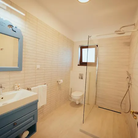 בית הארחה Pensiunea Briza Marii 4*