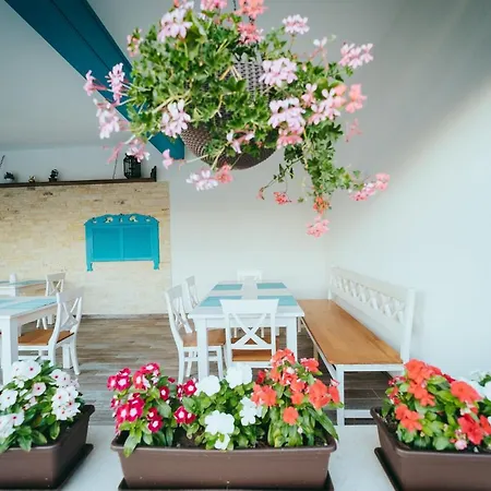 Pensiunea Briza Marii Penzion 4*