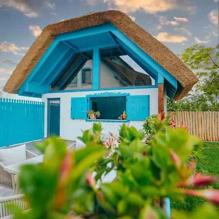 Pensiunea Briza Marii בית הארחה