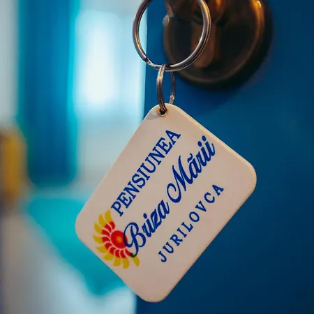 בית הארחה Pensiunea Briza Marii 4*