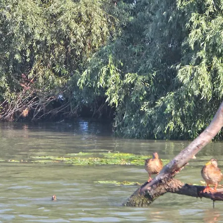 Pensiunea Briza Marii Pensjonat