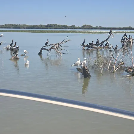 Pensjonat Pensiunea Briza Marii Jurilovca