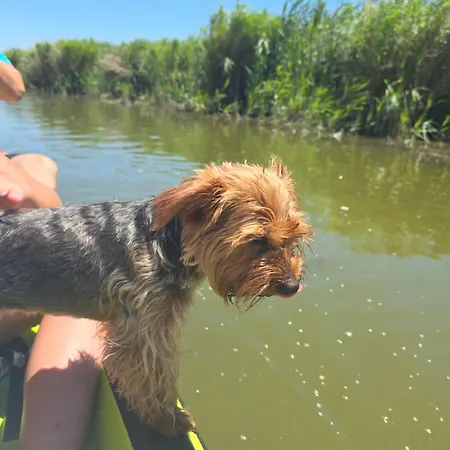 Pensiunea Briza Marii