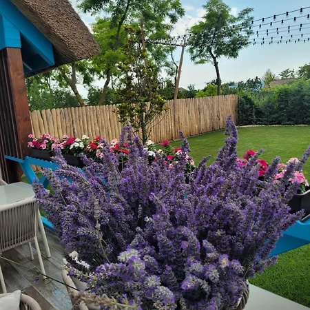 Pensjonat Pensiunea Briza Marii Jurilovca