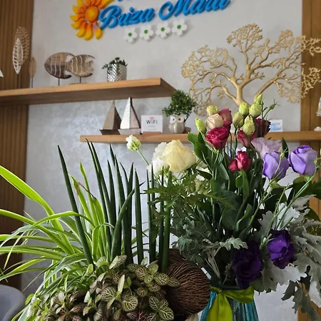 Pensiunea Briza Marii Pensjonat