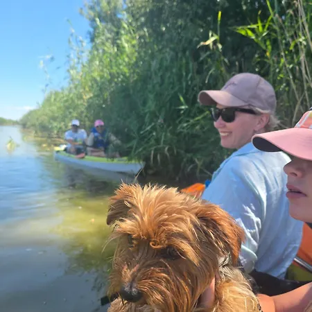 Pensiunea Briza Marii 4*