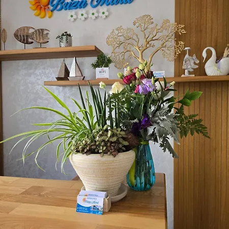 Pensiunea Briza Marii Pensjonat